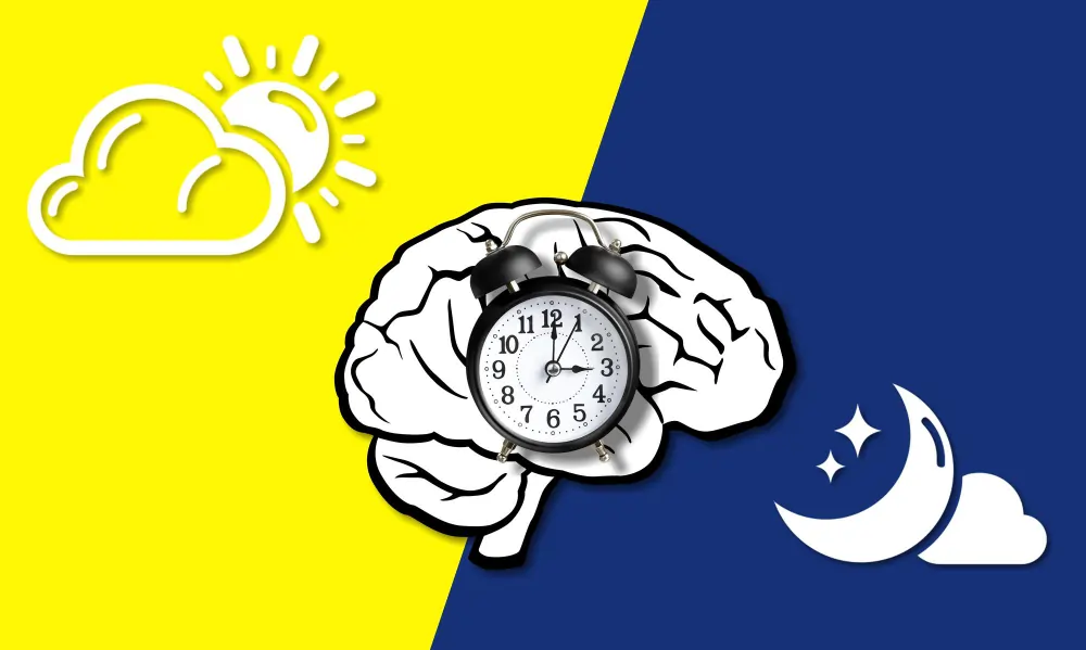 Insomnia and Depression - Can TMS Improve Sleep